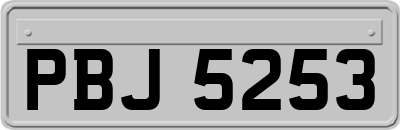 PBJ5253