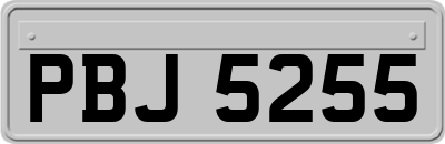 PBJ5255