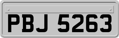 PBJ5263