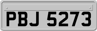 PBJ5273