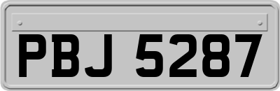 PBJ5287