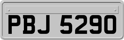 PBJ5290