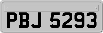 PBJ5293