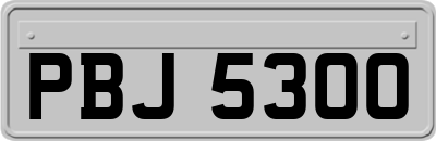 PBJ5300