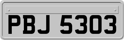 PBJ5303