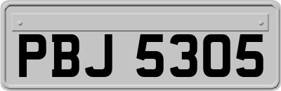 PBJ5305