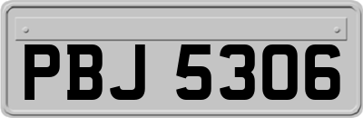 PBJ5306