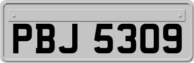 PBJ5309