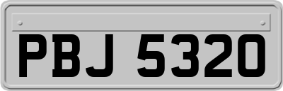 PBJ5320