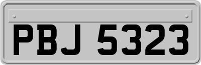 PBJ5323