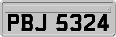 PBJ5324