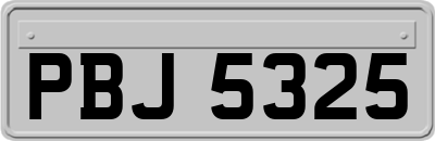 PBJ5325