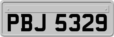 PBJ5329