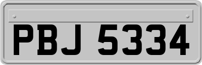 PBJ5334