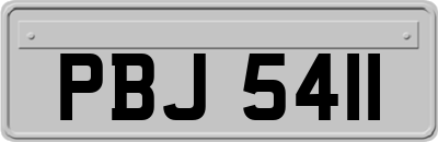 PBJ5411