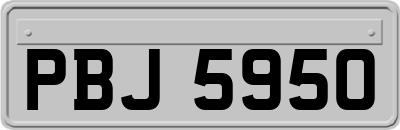 PBJ5950