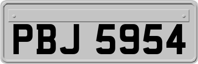 PBJ5954