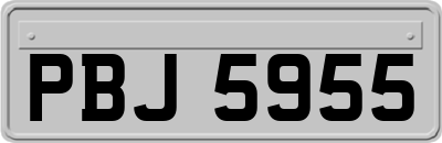 PBJ5955