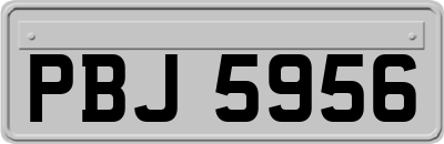 PBJ5956