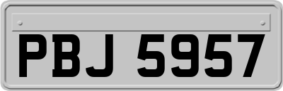 PBJ5957