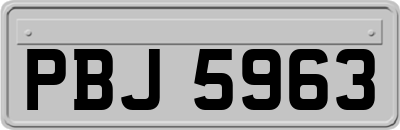 PBJ5963