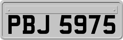 PBJ5975