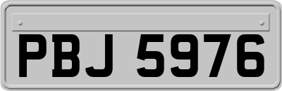 PBJ5976