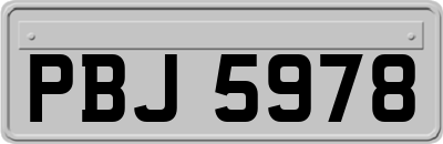 PBJ5978