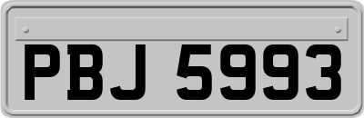 PBJ5993