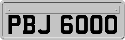 PBJ6000