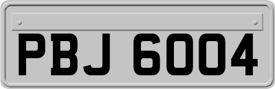 PBJ6004