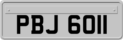 PBJ6011