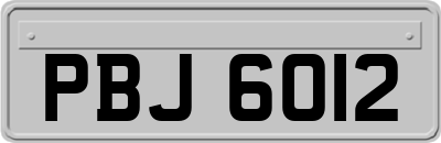 PBJ6012