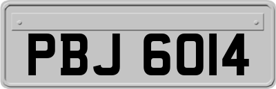 PBJ6014