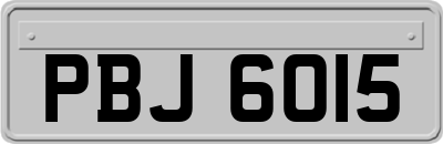 PBJ6015