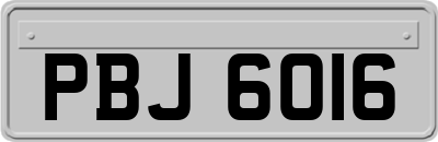 PBJ6016