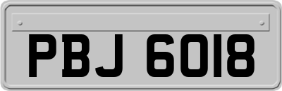 PBJ6018