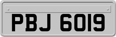 PBJ6019