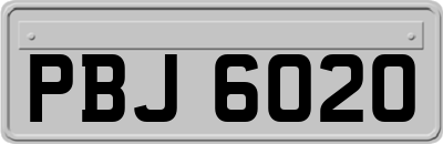 PBJ6020