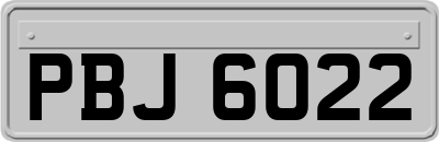 PBJ6022