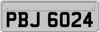 PBJ6024