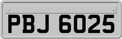 PBJ6025