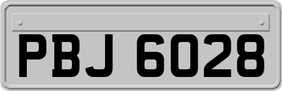 PBJ6028