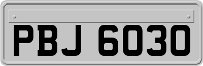 PBJ6030