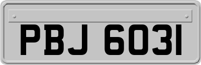 PBJ6031