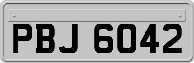 PBJ6042