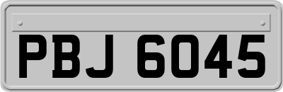 PBJ6045