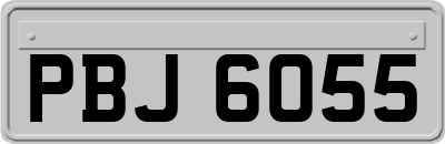 PBJ6055