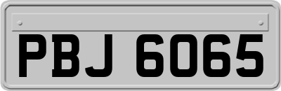 PBJ6065