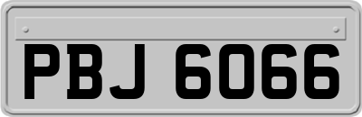 PBJ6066